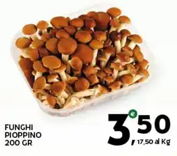 Extra Supermercati Funghi pioppino offerta