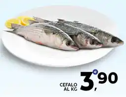 Extra Supermercati Cefalo offerta