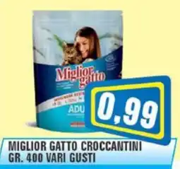 Punto Vigas Miglior gatto croccantini offerta