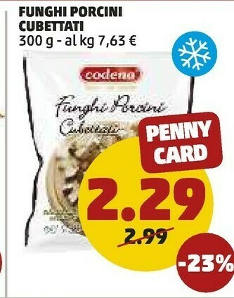 PENNY Funghi porcini cubettati offerta