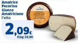 Sigma Amatrice Pecorino Giunco Amatriciano l'etto offerta