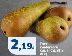 Sigma Pere Conference Cat. I- Cal. 65 + offerta