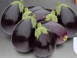 Sigma Melanzane Tonde Cat.I offerta