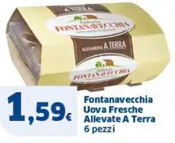 Sigma Fontanavecchia Uova Fresche Allevate A Terra offerta