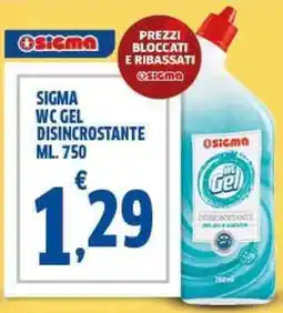 Sigma Sigma wc gel disincrostante offerta