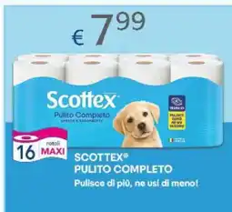 Acqua & Sapone SCOTTEX PULITO COMPLETO offerta