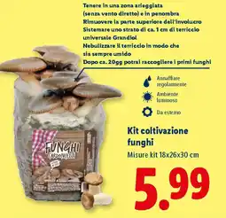 Lidl Kit coltivazione funghi offerta