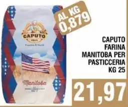 Bitar Caputo farina manitoba per pasticceria offerta