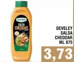 Bitar Develey salsa cheddar offerta