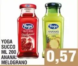 Bitar Yoga succo anana, melograno offerta
