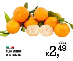 A&O Clementine con foglia offerta