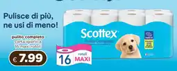 Acqua & Sapone Scottex Pulito Completo offerta
