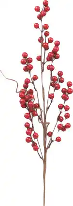 MD Discount RAMO BACCHE ROSSE offerta