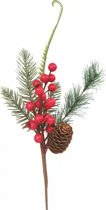 MD Discount RAMETTO offerta