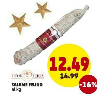 Salame felino