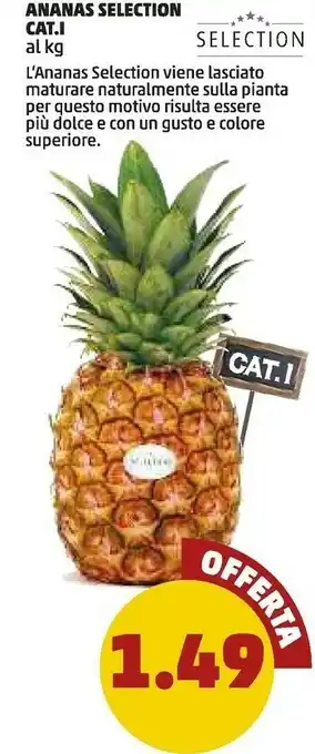 PENNY Ananas selection offerta