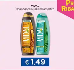 Acqua & Sapone VIDAL Bagnodoccia 500 ml assortito offerta