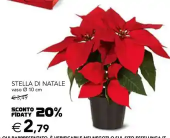 STELLA DI NATALE