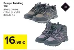 Carrefour Scarpe Trekking Tex offerta