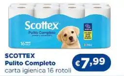 Acqua & Sapone Scottex Pulito Completo offerta
