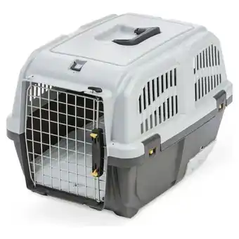 Ayoka LEOPET offerta