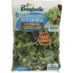 Ipercoop INSALATE MAXI FORMATO BONDUELLE offerta