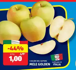 ALDI I COLORI DEL SAPORE Mele golden offerta