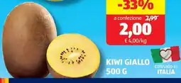 ALDI Kiwi giallo offerta