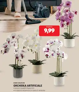 ALDI HOME CREATION orchidea artificiale offerta