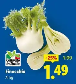 Lidl Finocchio offerta