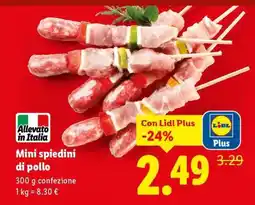 Lidl Mini spiedini di pollo offerta