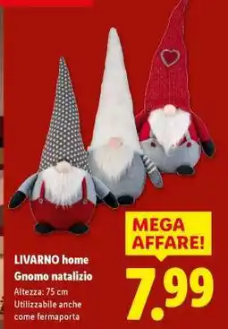 Lidl LIVARNO home Gnomo natalizio offerta
