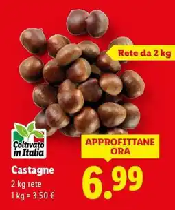 Lidl Castagne offerta