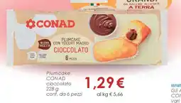 Conad PLUMCAKE CONAD cioccolato offerta