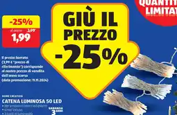 ALDI HOME CREATION catena luminosa 50 led offerta