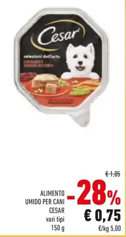 Conad Alimento umido per cani CESAR offerta