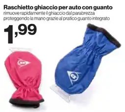 In'S Mercato Raschietto ghiaccio per auto con guanto offerta