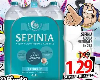 Sepinia acqua naturale