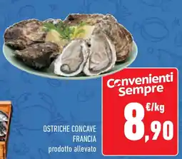 Conad Superstore Ostriche concave francia offerta
