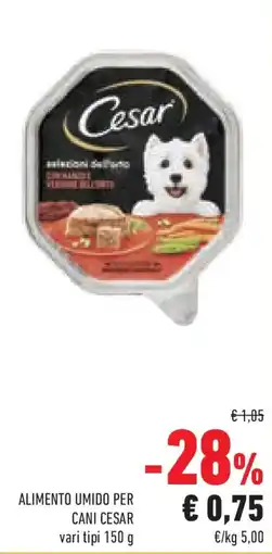 Conad Superstore Alimento umido per cani CESAR offerta