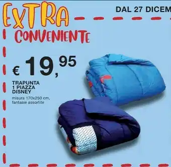Trapunta 1 piazza