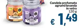 Qui Discount Candela profumata agrumi/lavanda in vetro offerta