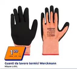 Action Guanti da lavoro termici Werckmann offerta