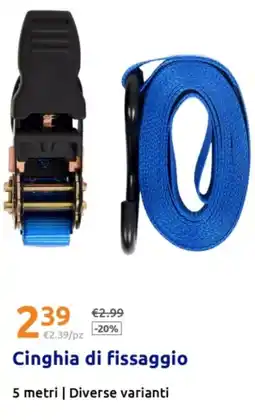 Action Cinghia di fissaggio offerta