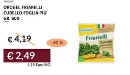 Prezzemolo e Vitale Orogel friarelli cubello foglia piu offerta