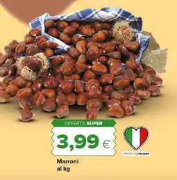 Tigre Marroni offerta