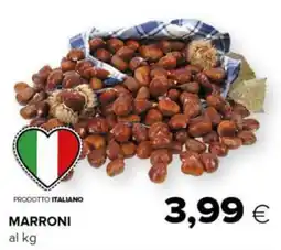 Tigre Marroni offerta