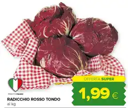 Tigre Radicchio rosso tondo offerta