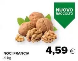 Tigre Noci francia offerta