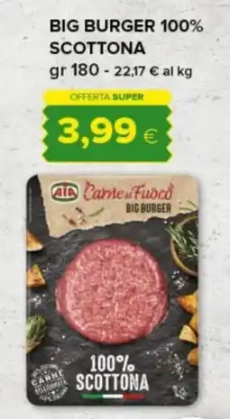 Tigre Aia big burger 100% scottona offerta